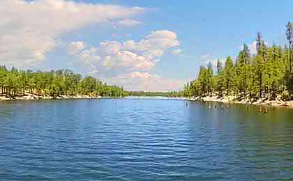 The Ultimate Guide to Fishing Willow Springs Lake The Ultimate Guide to Fishing Willow Springs Lake