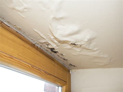 Fix Roof Leaks Asap How A Leaking Roof Affects Your Entire Home Fix Roof Leaks Asap How A Leaking Roof Affects Your Entire Home