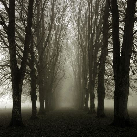 For The Enigmatic Souls Alternative