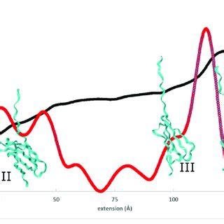 Force Peaks Top And Hydrophobic Surface Unravelling Peaks Bottom Force Peaks Top And Hydrophobic Surface Unravelling Peaks Bottom