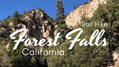 Hiking Trails in Forest Falls Hiking Trails in Forest Falls