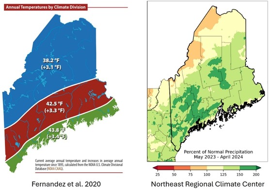 Forest Shade Tree Insect Disease Conditions For Maine May 20 2016 Forest Shade Tree Insect Disease Conditions For Maine May 20 2016
