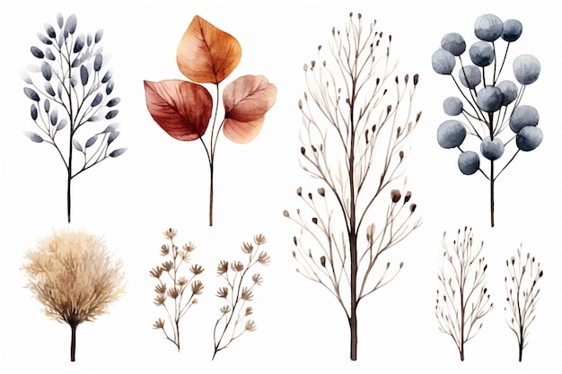 Four Pictures With Different Types Of Trees And Leaves In Them Four Pictures With Different Types Of Trees And Leaves In Them