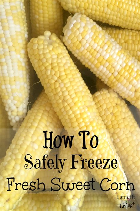How to Freeze Sweet Corn