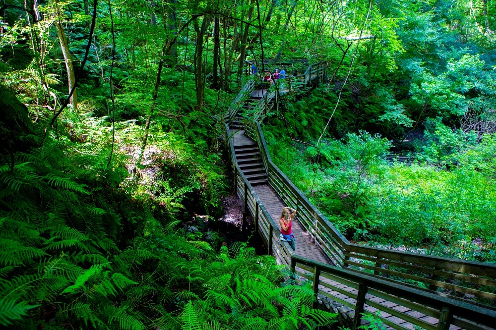 10 Fun Activities to Do in Gainesville