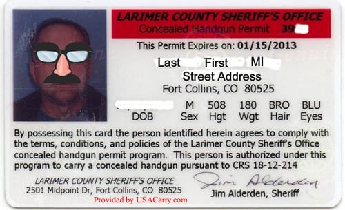 Your Guide to Georgia's Concealed Carry Laws