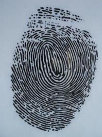 5 Steps to Search Georgia Criminal Records