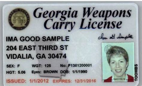Everything You Need to Know About Georgia Gun License