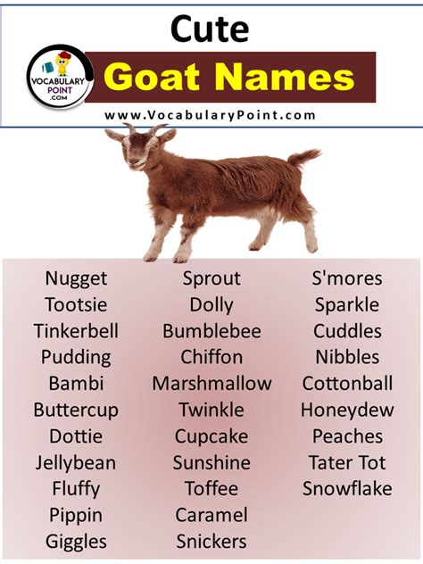 10 Tips for Girl Goat Names