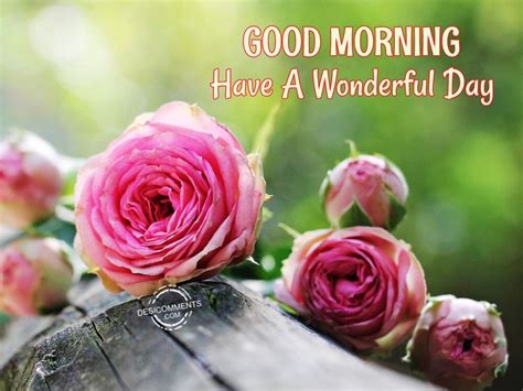 A New Day, A Wonderful Day.