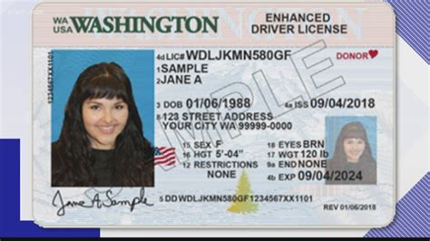 Government IDs: 3 Types Explained
