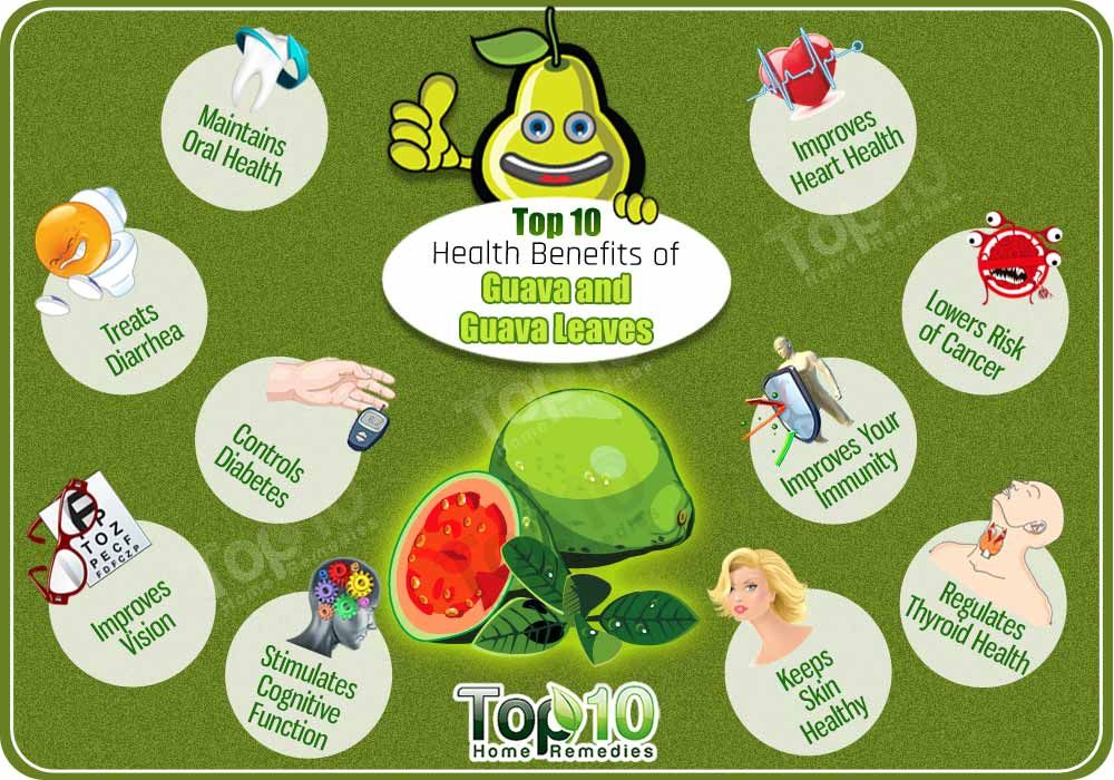 Guava Nutritional Value And Health Benefits Emedihealth Guava Nutritional Value And Health Benefits Emedihealth