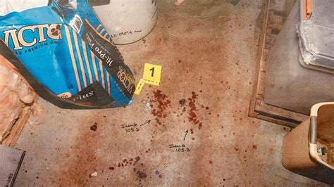 Unveiling the Gypse Rose Crime Mystery