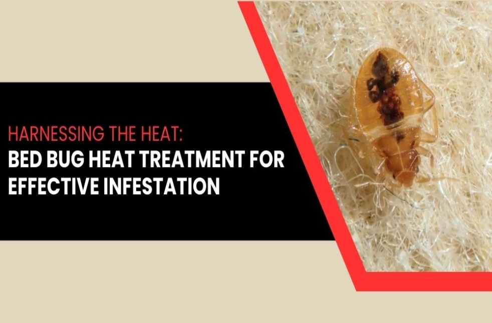 Harnessing The Heat Bed Bug Heat Treatment For Effective Infestation Harnessing The Heat Bed Bug Heat Treatment For Effective Infestation
