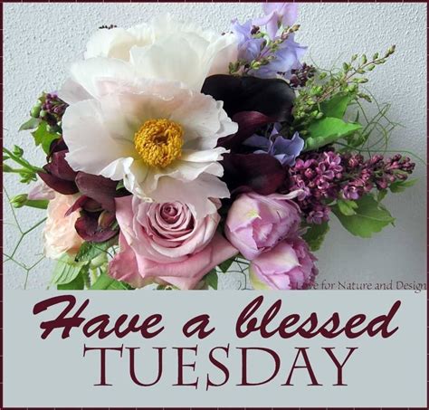 Start Your Week with a Blessed Tuesday