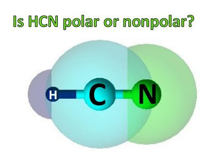 Hcn Polarity Hcn Polarity