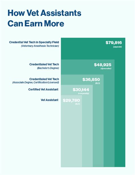 The 5 Top-Earning Vet Specialties