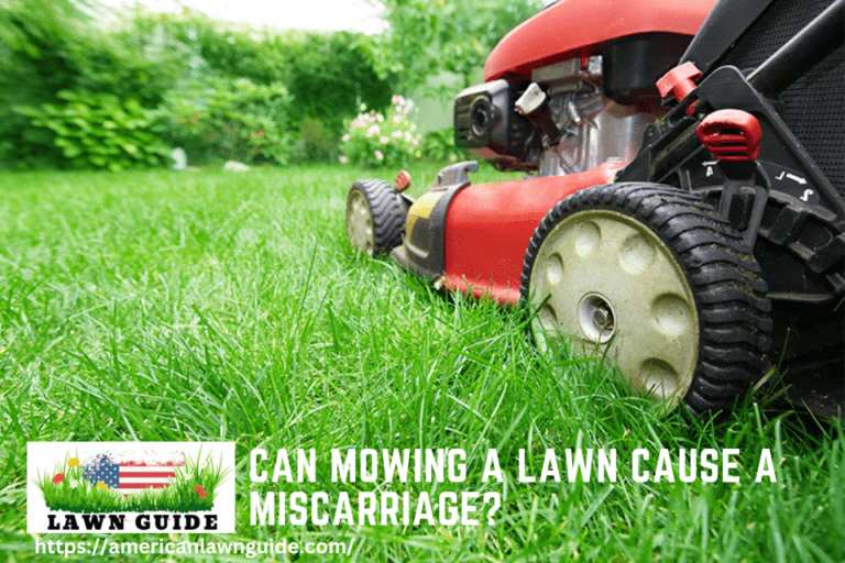 Unraveling the Mystery of Lawn Holes