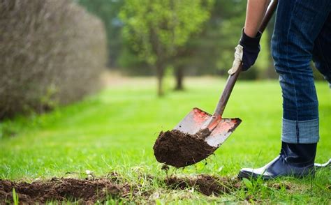 Homeowners Guide To Safe Digging Homeowners Guide To Safe Digging