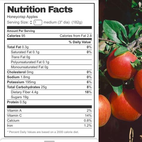 Unveiling Honey Crisp Apple's Nutritional Power