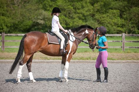 Riding Lessons: 5 Quick Tips for Beginners