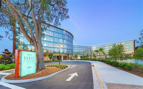 Gainesville's Top Hotel Recommendations: A Guide