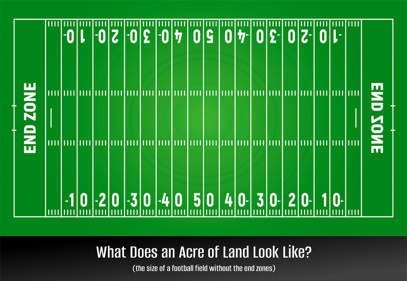 Unveiling the Size of an Acre: 5 Facts