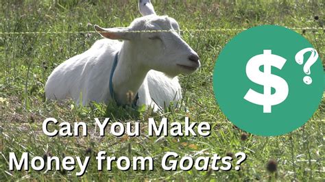 How Do You Raise Goats For Profit Is There Money In Goats Farming How Do You Raise Goats For Profit Is There Money In Goats Farming