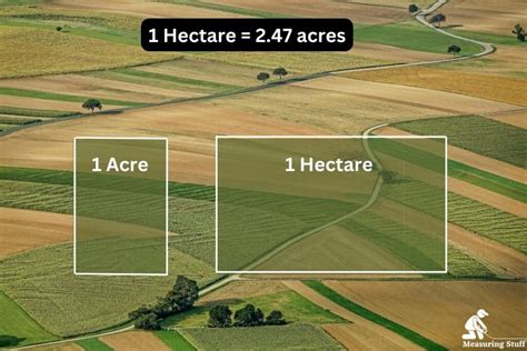 Hectare to Acre Conversion: Simple Math