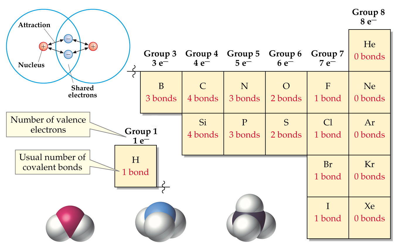 The Mystery of Carbon's Bonding Capacity: Unveiled
