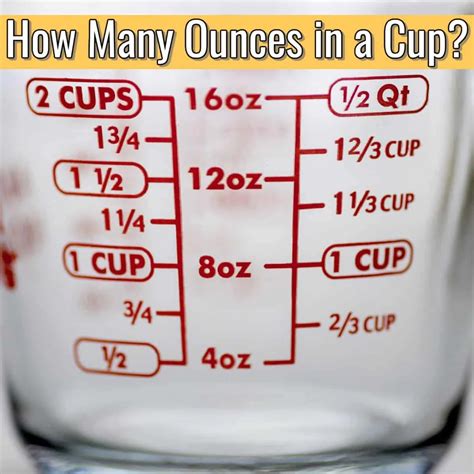 The Quick Guide: 20 oz to Cups The Quick Guide: 20 oz to Cups