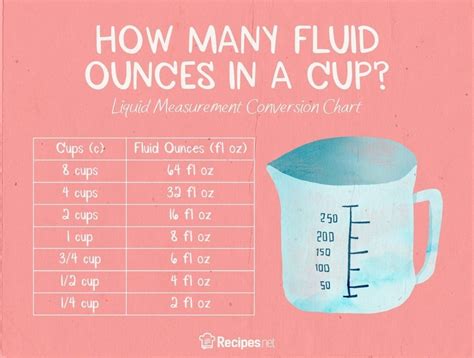 How Many Fluid Ounces Are In A Cup?