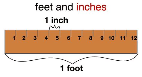 Unravel the Mystery: 2 Feet to Inches