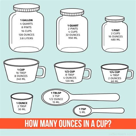 Two Cups: A Quick Oz Guide