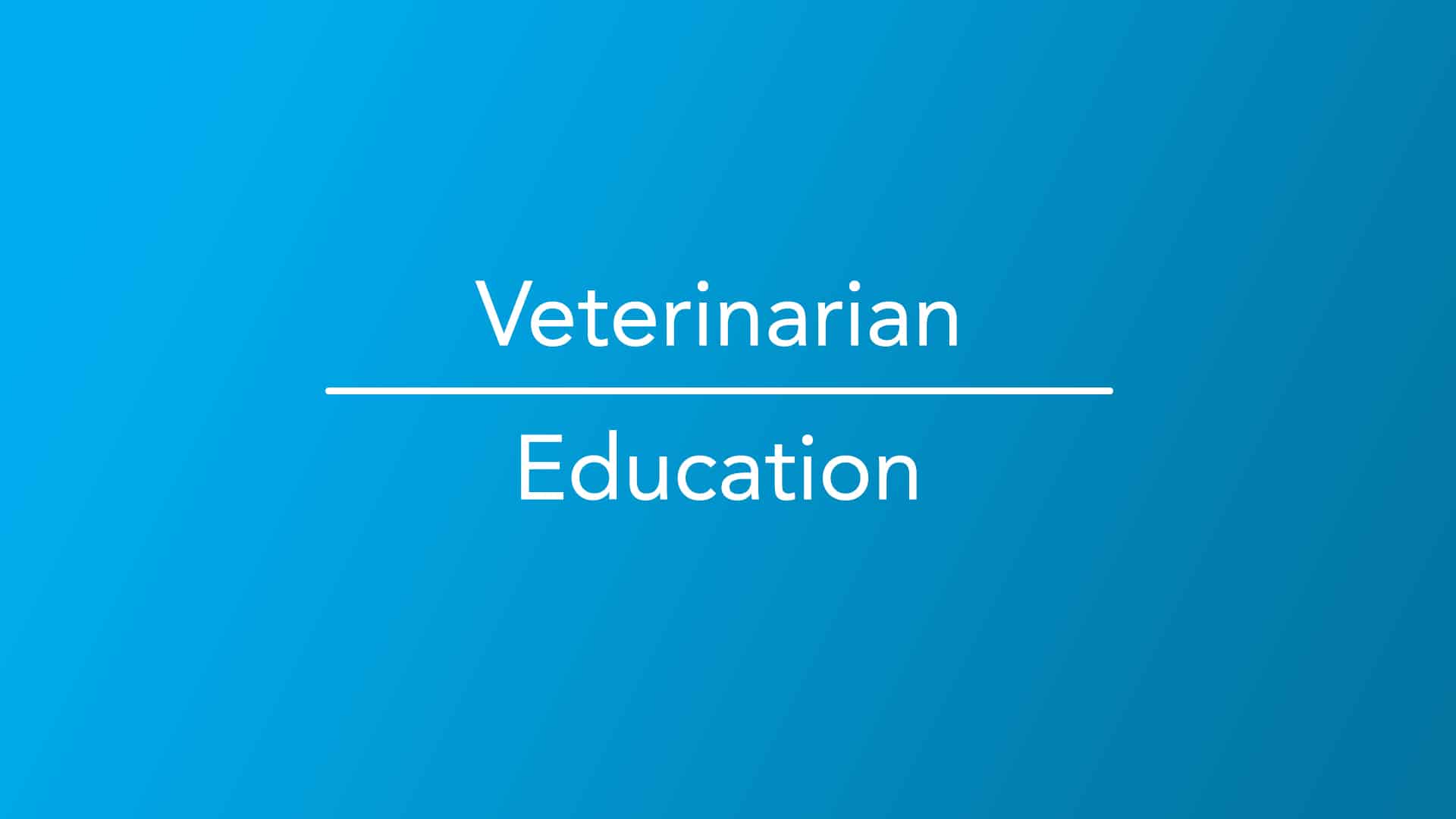 How To Become A Veterinarian Education And Career Roadmap How To Become A Veterinarian Education And Career Roadmap