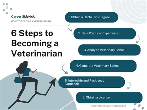 Step-by-Step Guide: Become a Vet