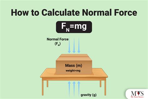 The Essential Guide to Calculating Normal Force