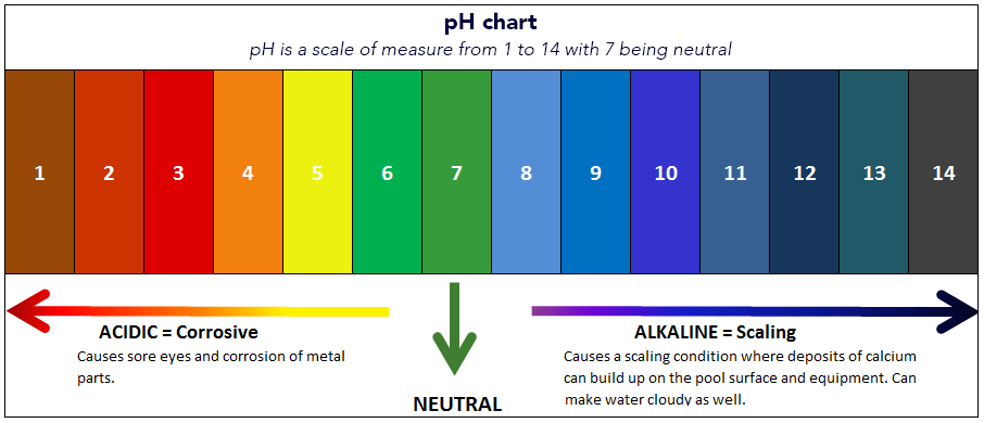 How To Check Ph Level Of Pool Water At Victoria Gregory Blog How To Check Ph Level Of Pool Water At Victoria Gregory Blog