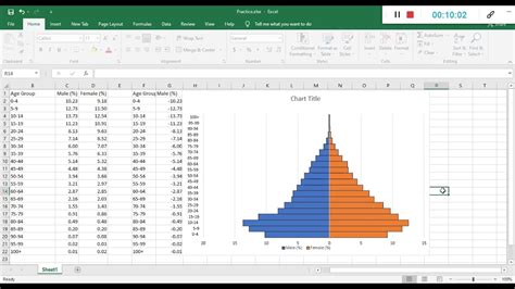 How to Build a Population Pyramid in Excel: 5 Tips