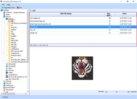 3 Ways to Open CDR Files