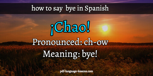 10 Ways to Say Bye in Spanish