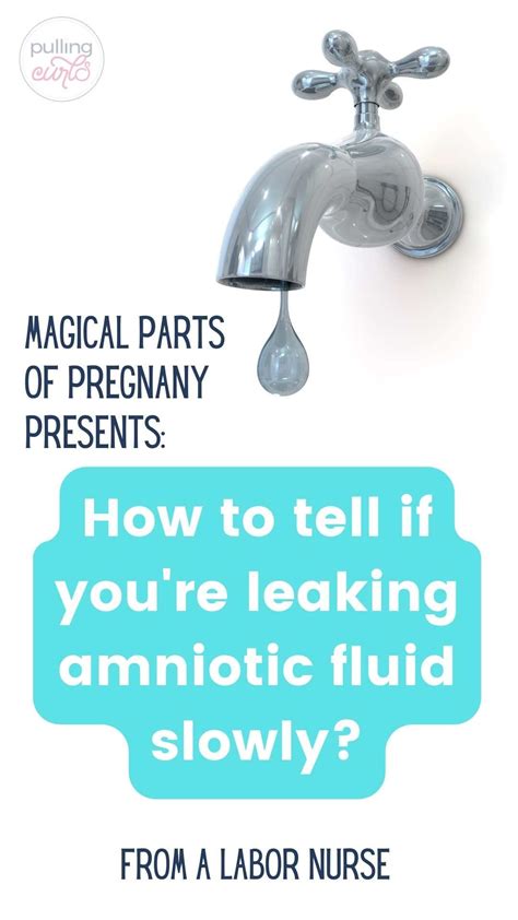 How To Tell If Your Water Is Leaking Slowly How To Tell If Your Water Is Leaking Slowly