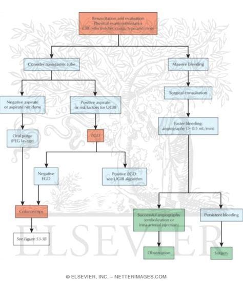 Icd 10 Code For Lower Gastrointestinal Bleeding Icd 10 Code For Lower Gastrointestinal Bleeding