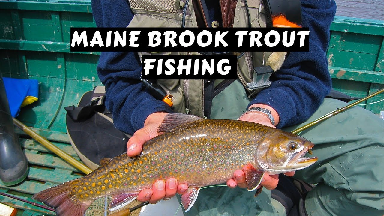 Ice Fishing Turquoise Lake For Multiple Trout Species Youtube Ice Fishing Turquoise Lake For Multiple Trout Species Youtube