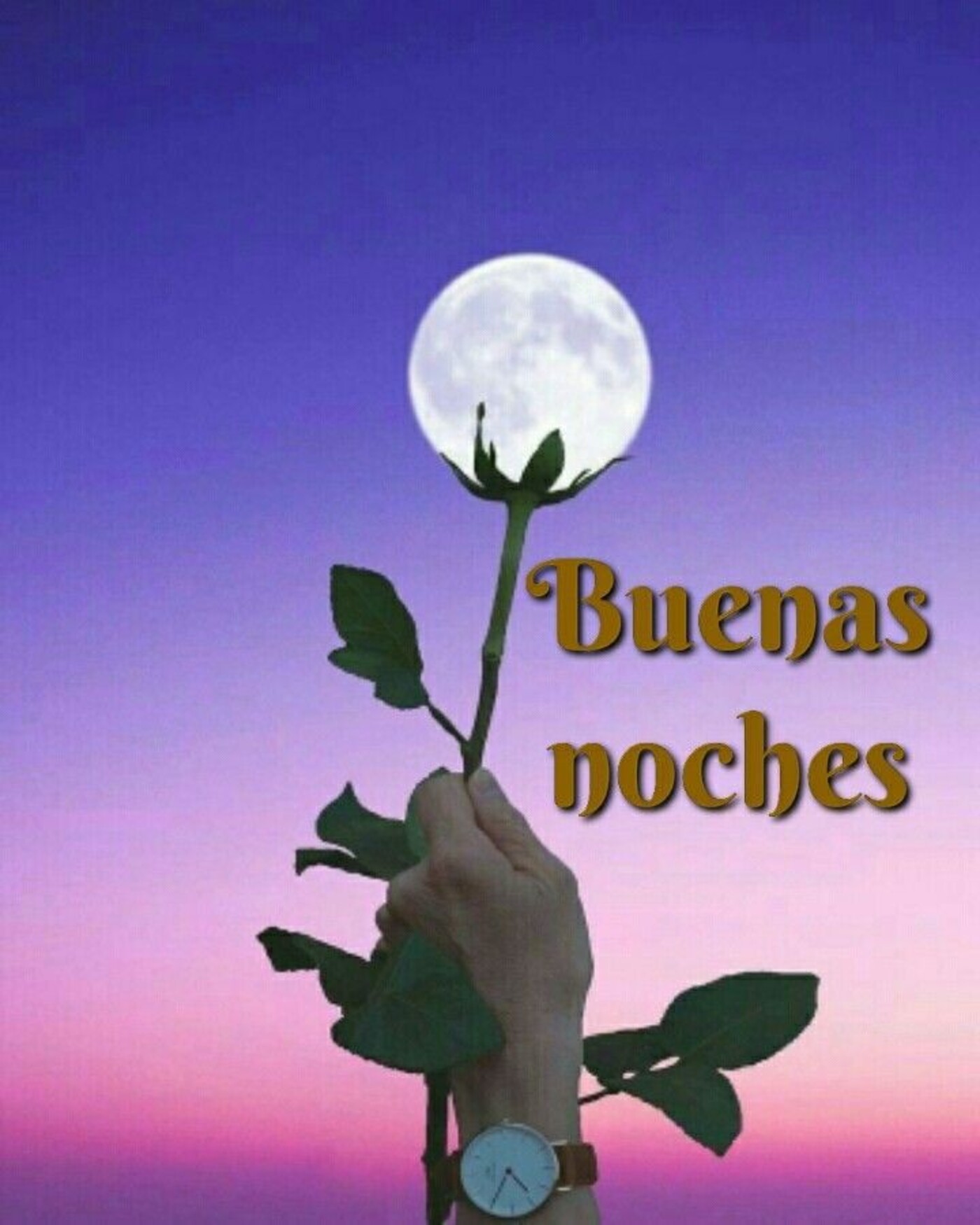 Imágenes de Buenas Noches: Descubre las Mejores para Descansar
