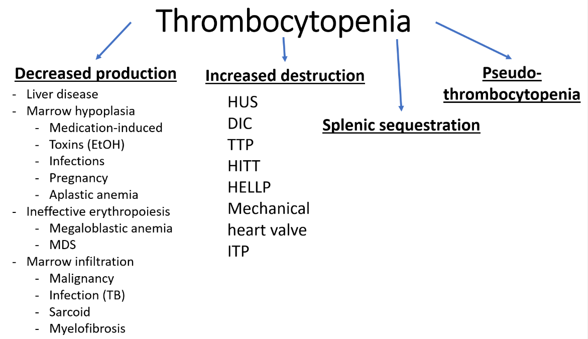 Immune Thrombocytopenia Nejm Immune Thrombocytopenia Nejm