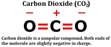 In Carbon Monoxide Bond Is Polar But Carbon Dioxide Bond Is Non Polar Why Please Chemistry In Carbon Monoxide Bond Is Polar But Carbon Dioxide Bond Is Non Polar Why Please Chemistry