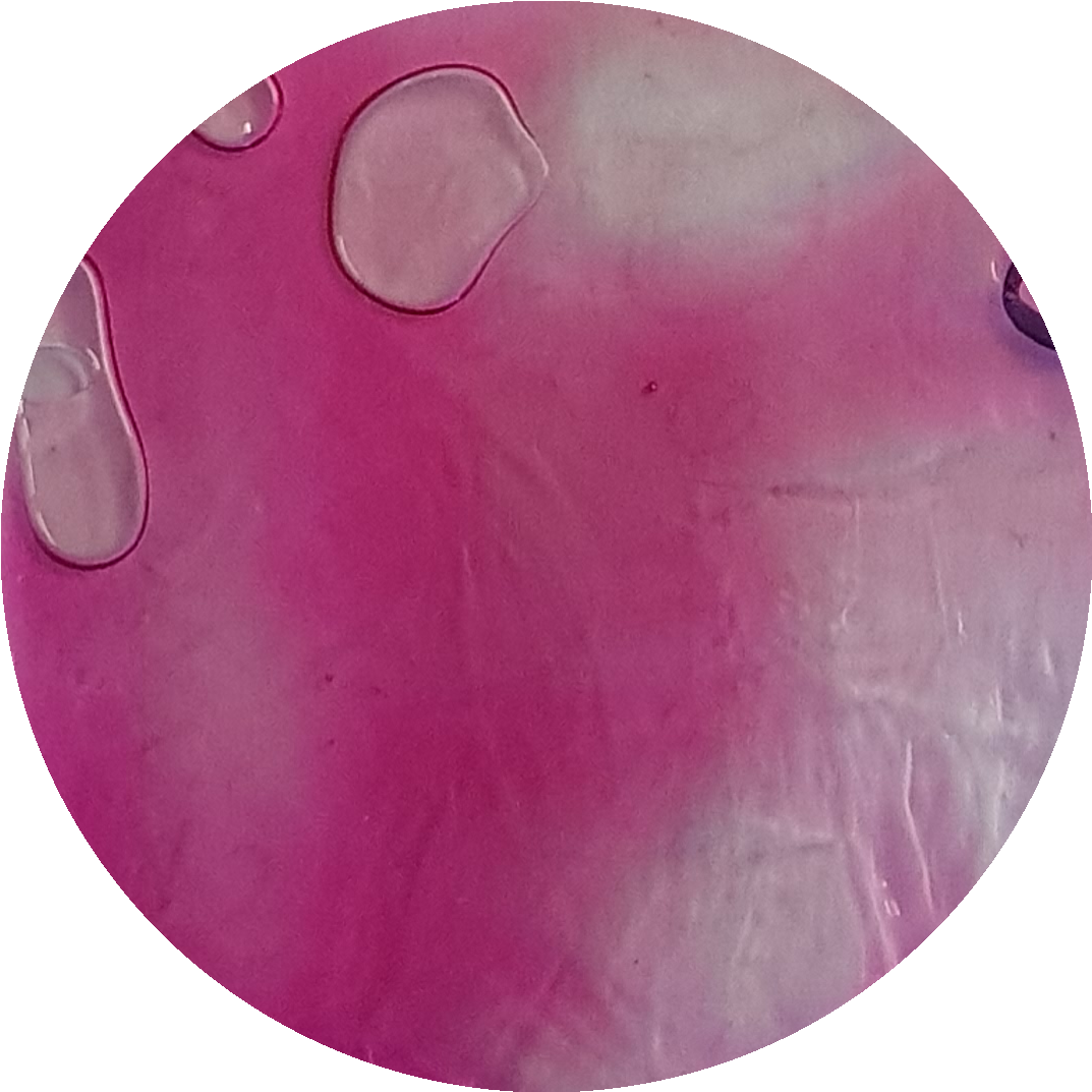 Iris Bloom Transparent Liquid Pigment 30Ml 1 Oz Leaked Jar Iris Bloom Transparent Liquid Pigment 30Ml 1 Oz Leaked Jar