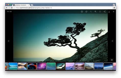 Javascript Lightbox Gallery Javascript Ctolib Javascript Lightbox Gallery Javascript Ctolib
