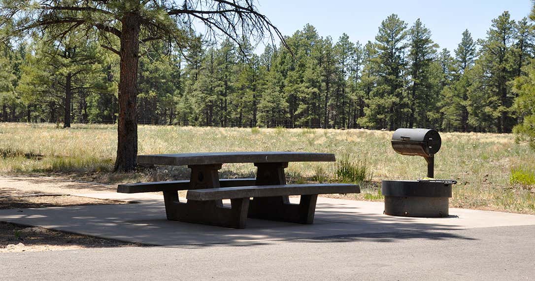 Lake Mary Campground: A Natural Paradise Lake Mary Campground: A Natural Paradise